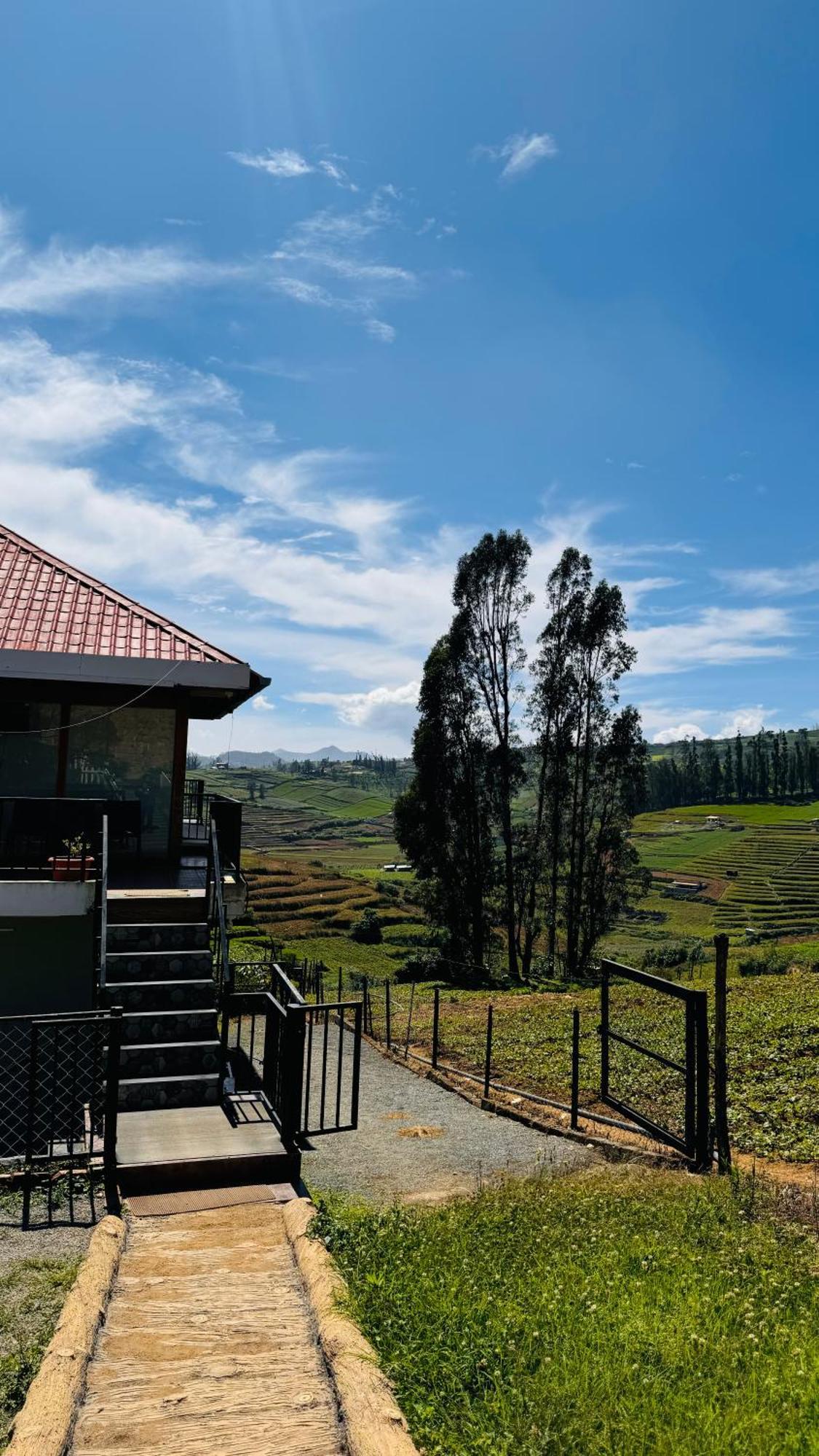 The Wooden Springs Bed and Breakfast Ooty Exteriör bild